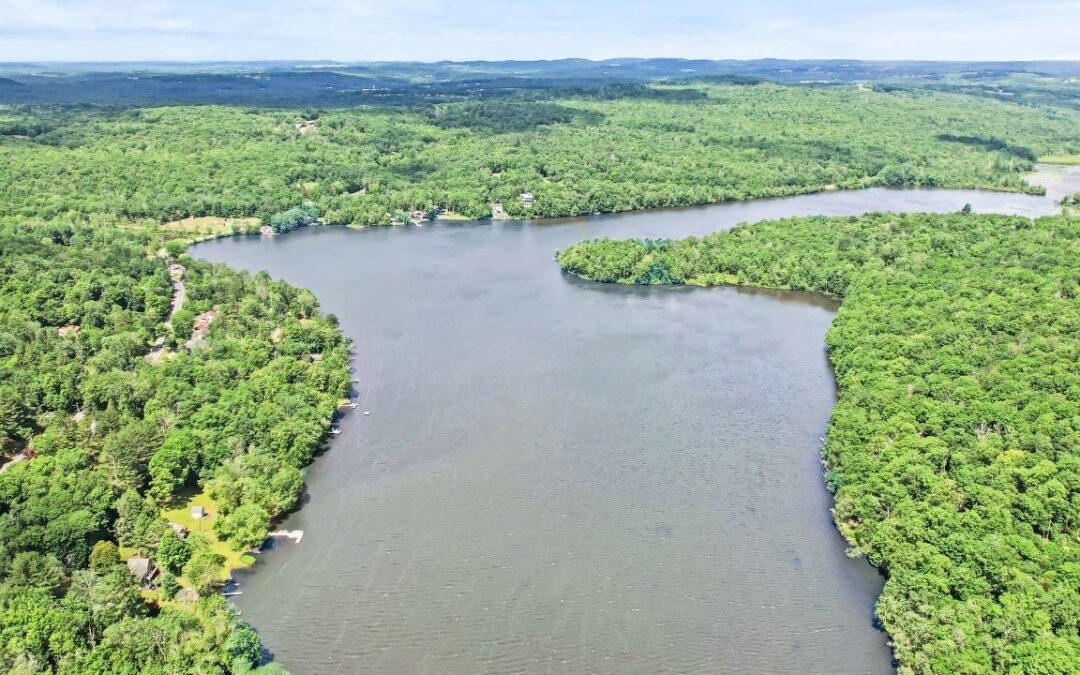 The History of Swan Lake: From Borscht Belt to Glamping Retreat